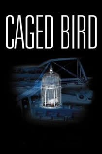 欢迎回家海角论坛